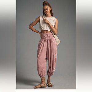 NWT Anthropologie pants